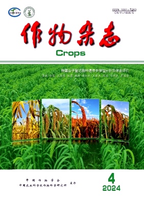 作物杂志封面